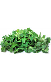 TPA - Horehound 10мл