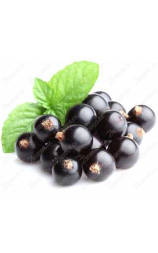 TPA - Black Currant 10мл