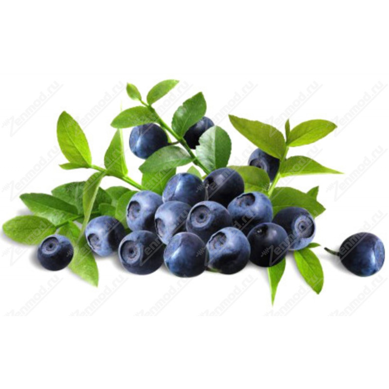 Фото и внешний вид — TPA - Huckleberry 10мл