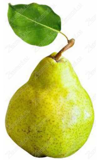 TPA - Pear 10мл