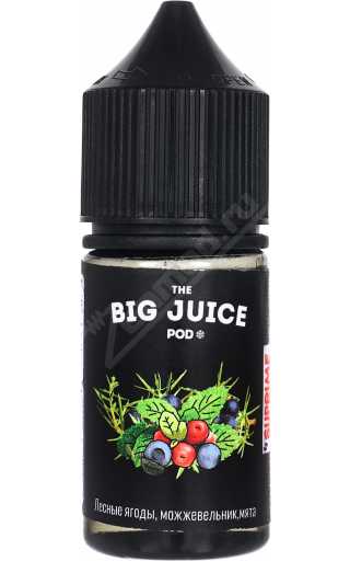 BIG JUICE POD SALT - Лесные ягоды, можжевельник и мята 30мл