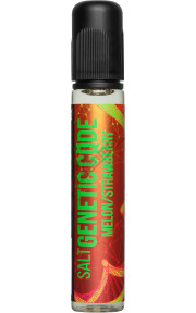 Genetic Code SALT - Melon Strawberry 30мл