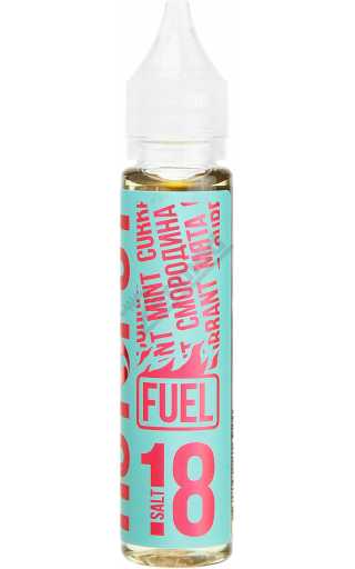 Hotspot Fuel SALT - Смородина Мята 30мл Hotspot Fuel SALT - Смородина Мята 30мл