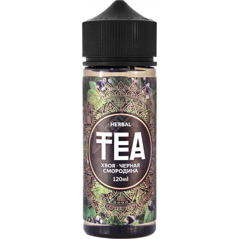 Фото и внешний вид — TEA Herbal - Хвоя-Черная смородина 120мл