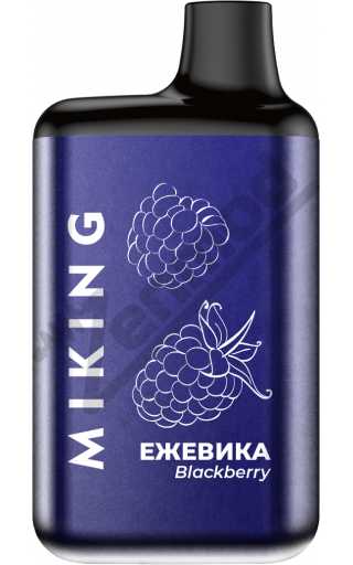MIKING V2 4000 - Ежевика