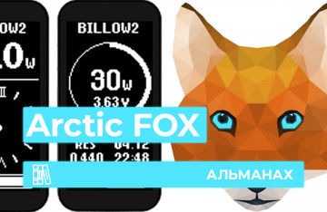 Arctic Fox